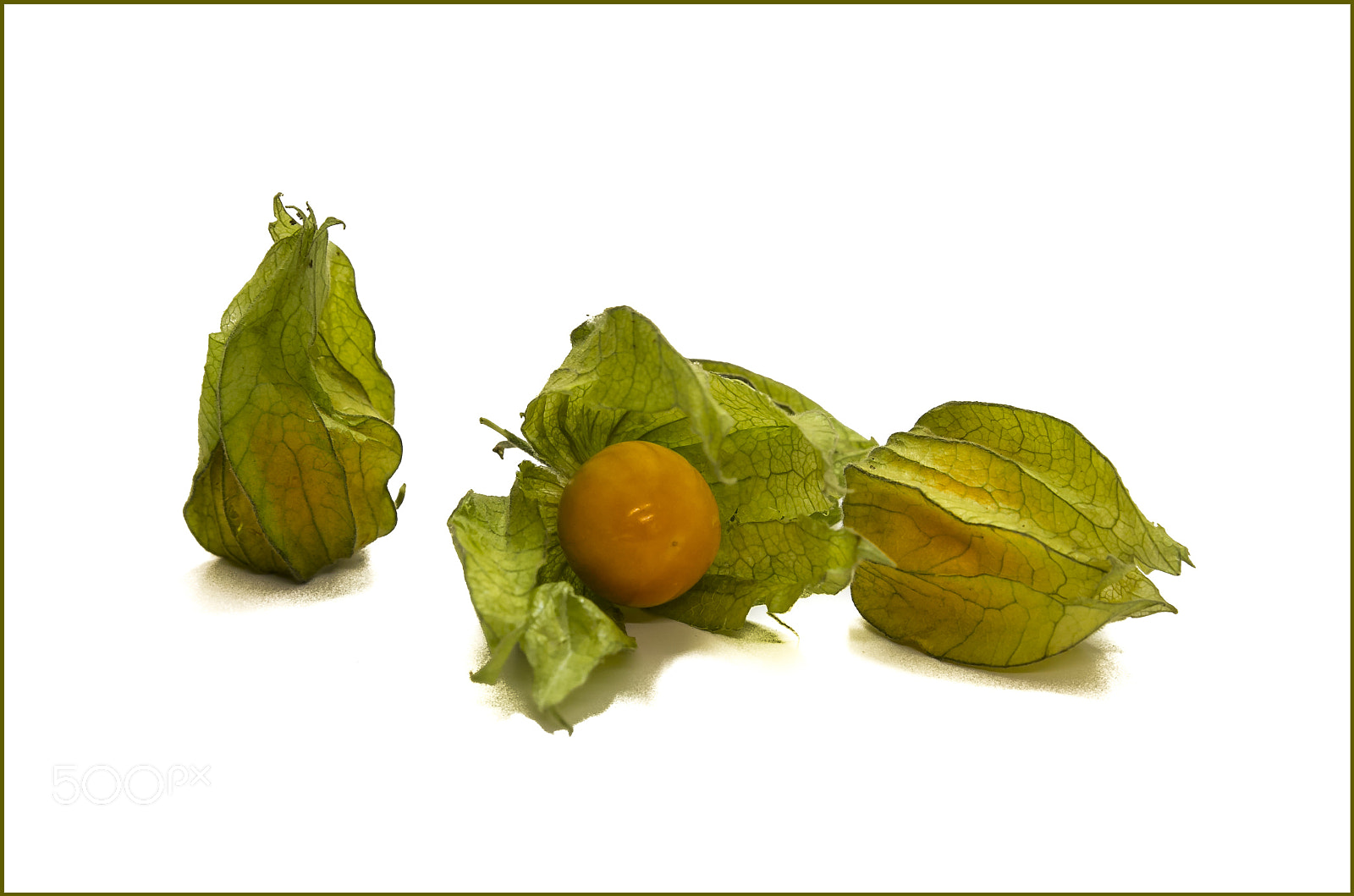 Canon EOS 60D sample photo. Physalis photography
