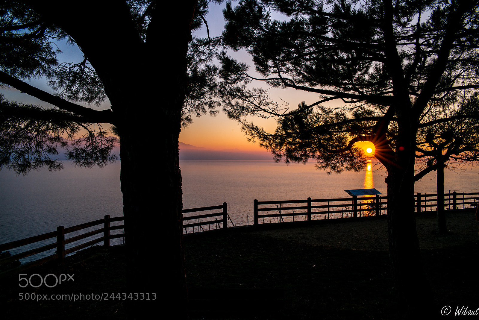 Leica M (Typ 240) sample photo. Back to the lake photography