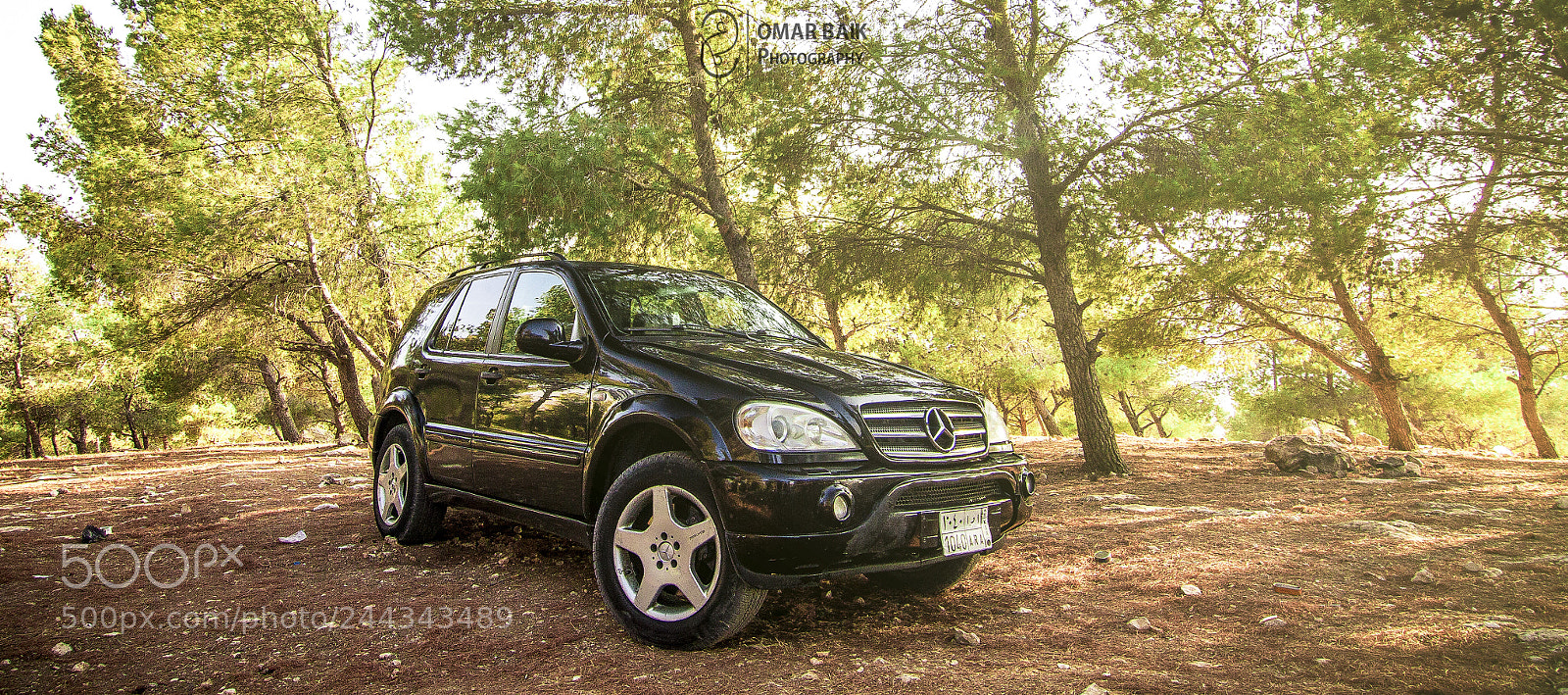 Canon EOS 60D sample photo. 28233431524.jpg photography