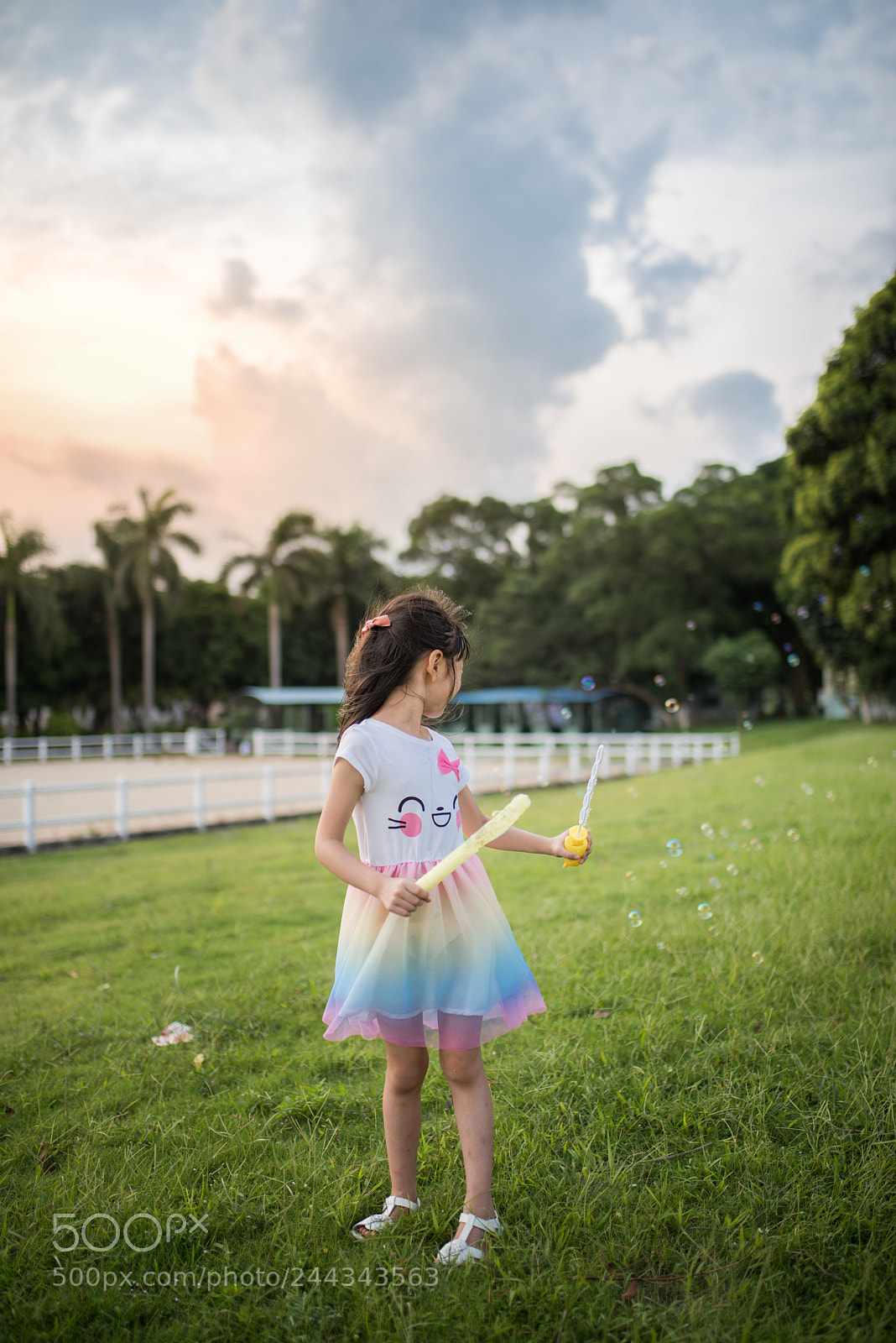 Nikon D810 sample photo. Untitled photography