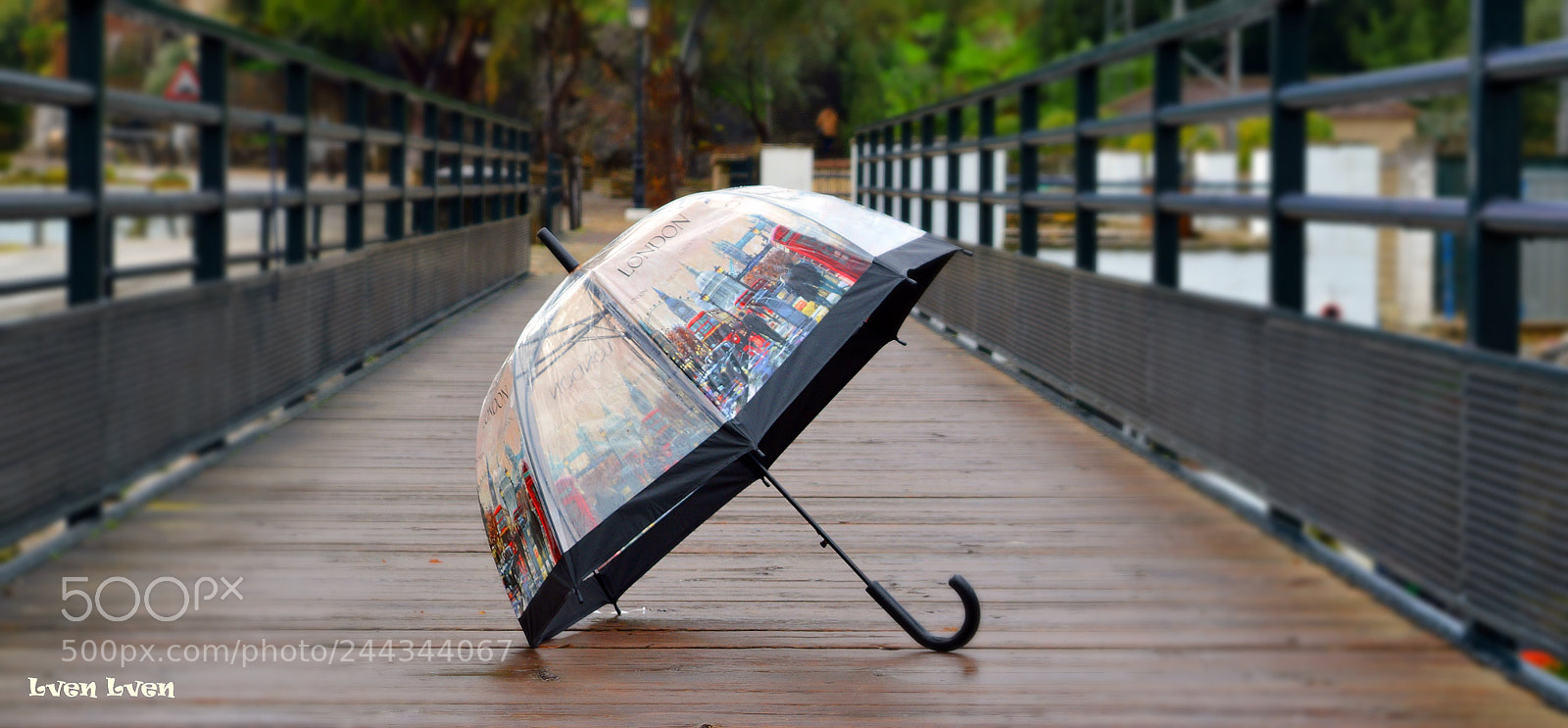 Nikon D3200 sample photo. Dsc photography
