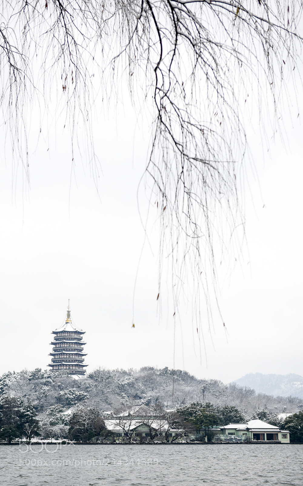 Nikon D810 sample photo. Untitled photography