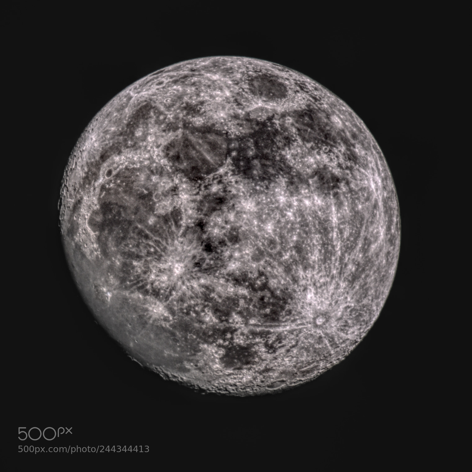 Nikon D500 sample photo. Punchymoon photography