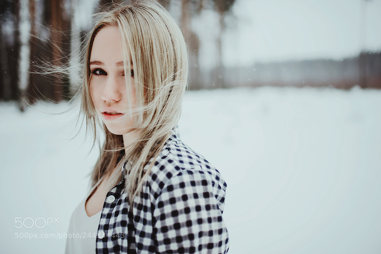 Nikon D610 sample photo. Winter forest photography