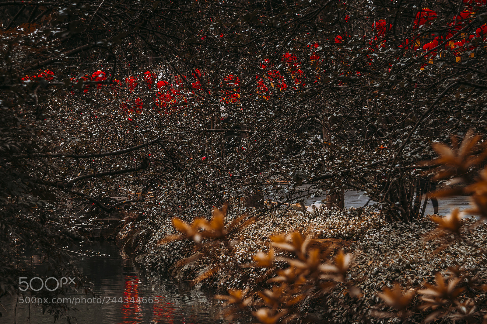 Canon EOS 7D Mark II sample photo. Viewa photography