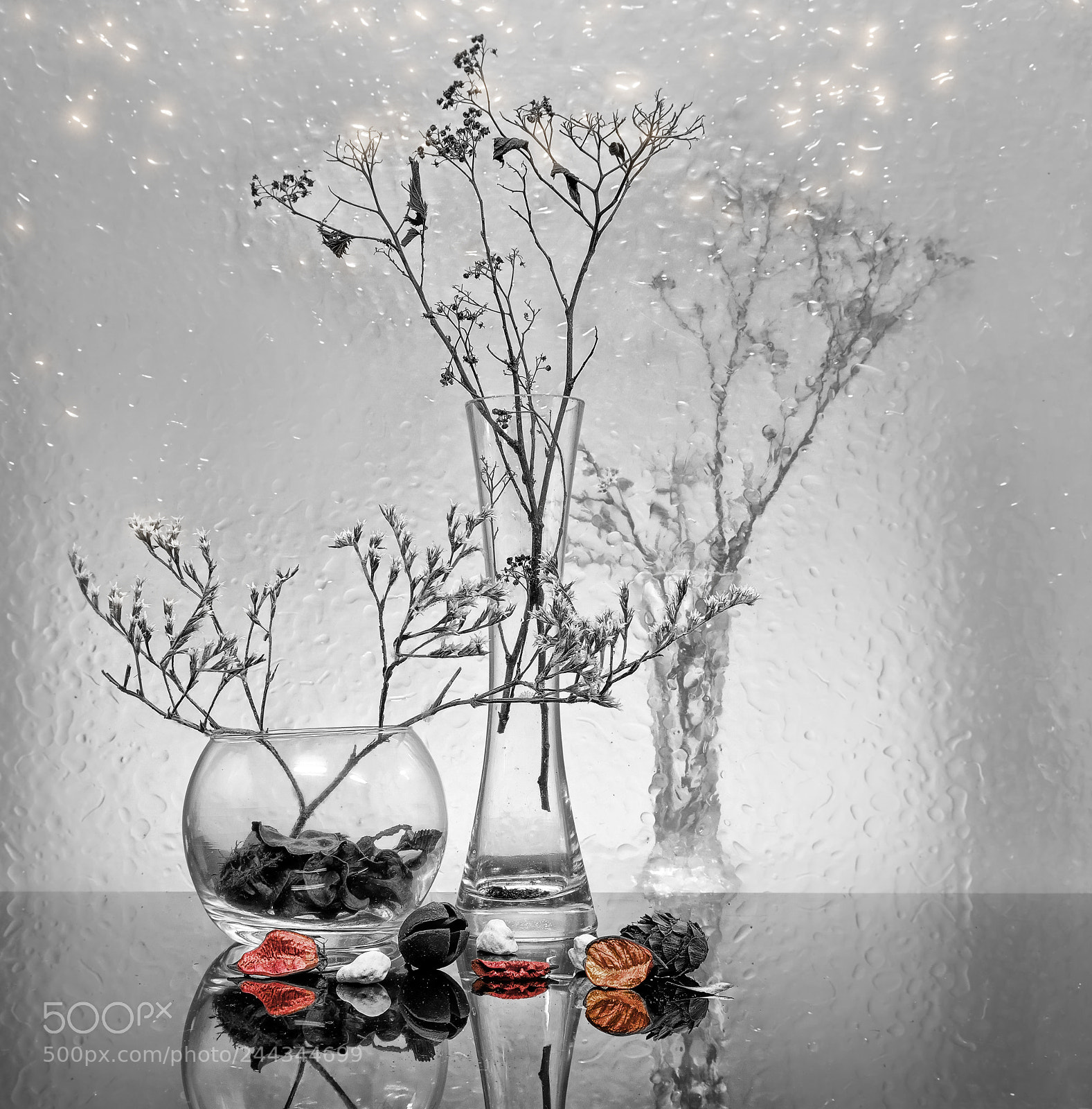 Nikon D7100 sample photo. Still life photography