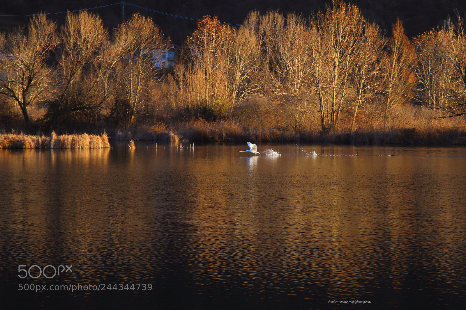 Canon EOS 7D Mark II sample photo. Natural reserve photography