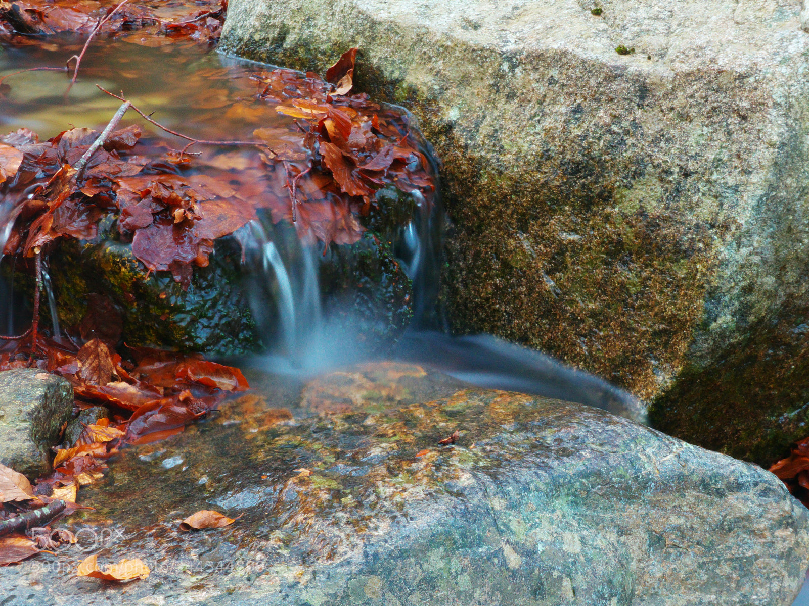 Panasonic Lumix DMC-FZ200 sample photo. Riera 3 photography