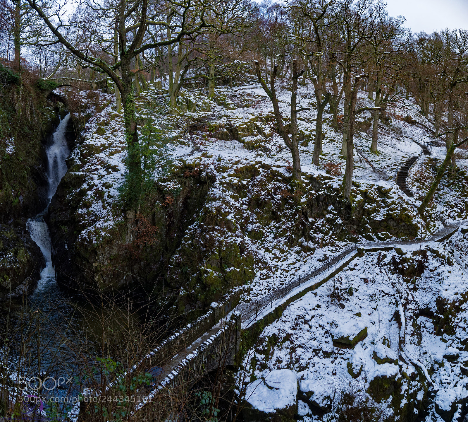 Sony SLT-A99V sample photo. Dxo pano photography