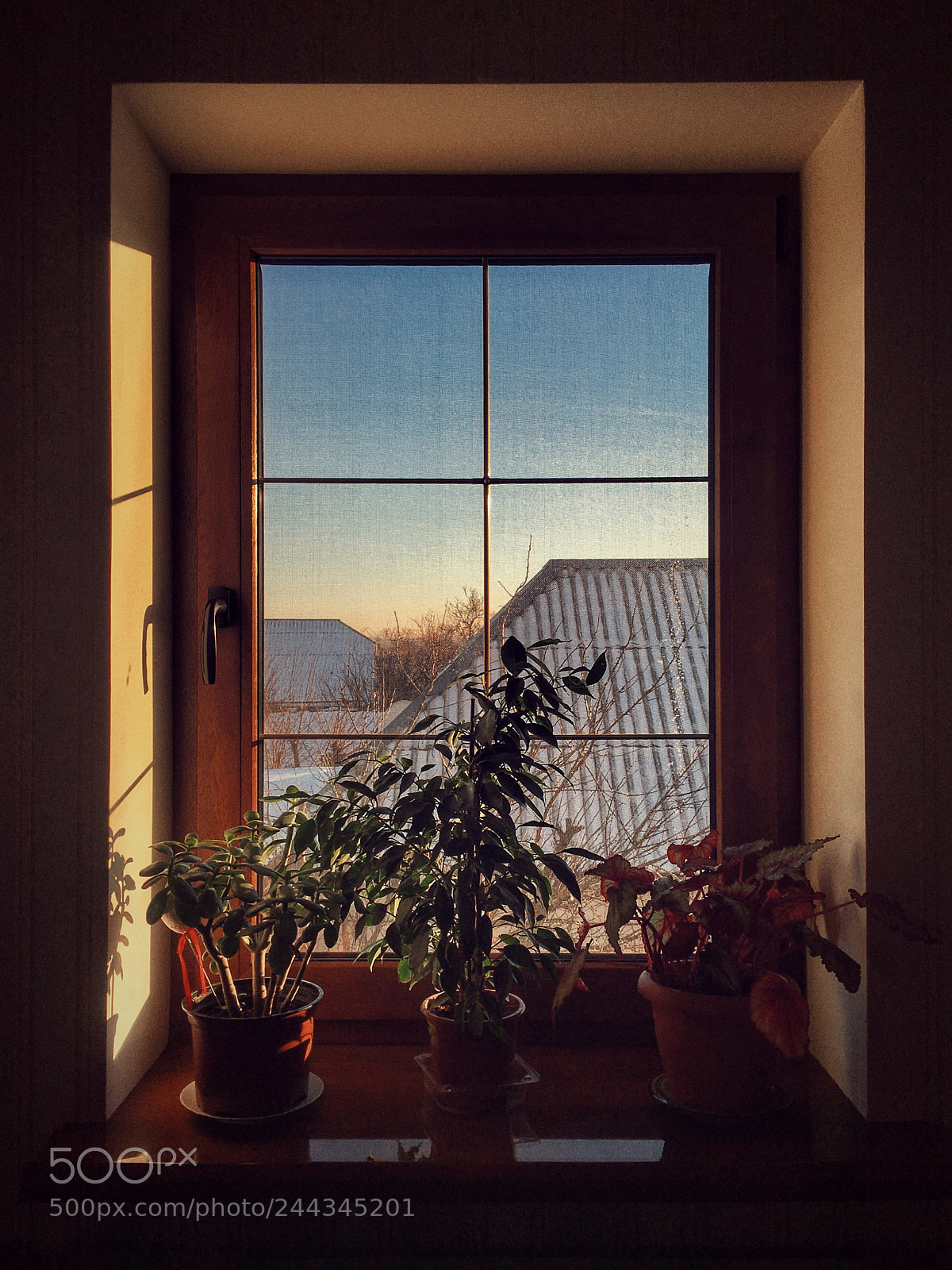 Apple iPhone 6s Plus sample photo. Window photography