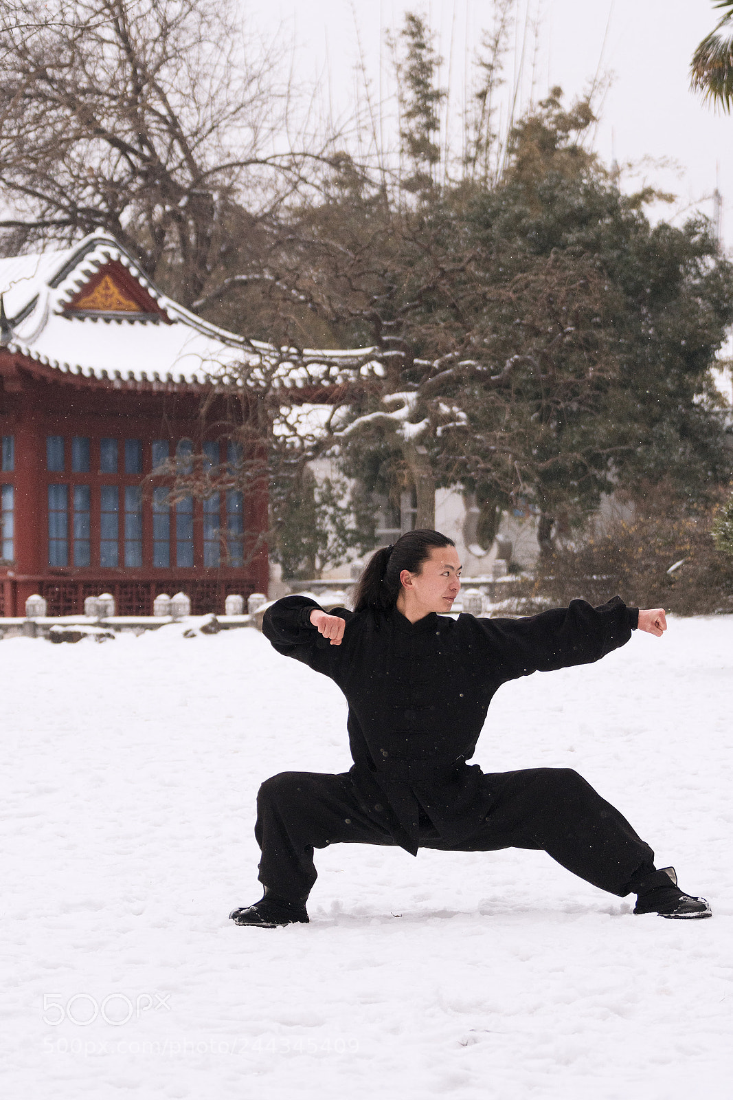Sony a6300 sample photo. Kung fu 03 photography