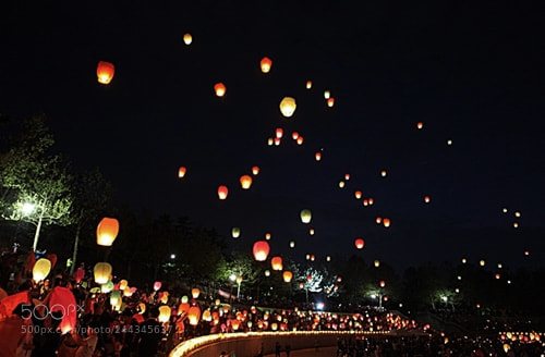 Canon EF 24-70mm F2.8L USM sample photo. A wish photography