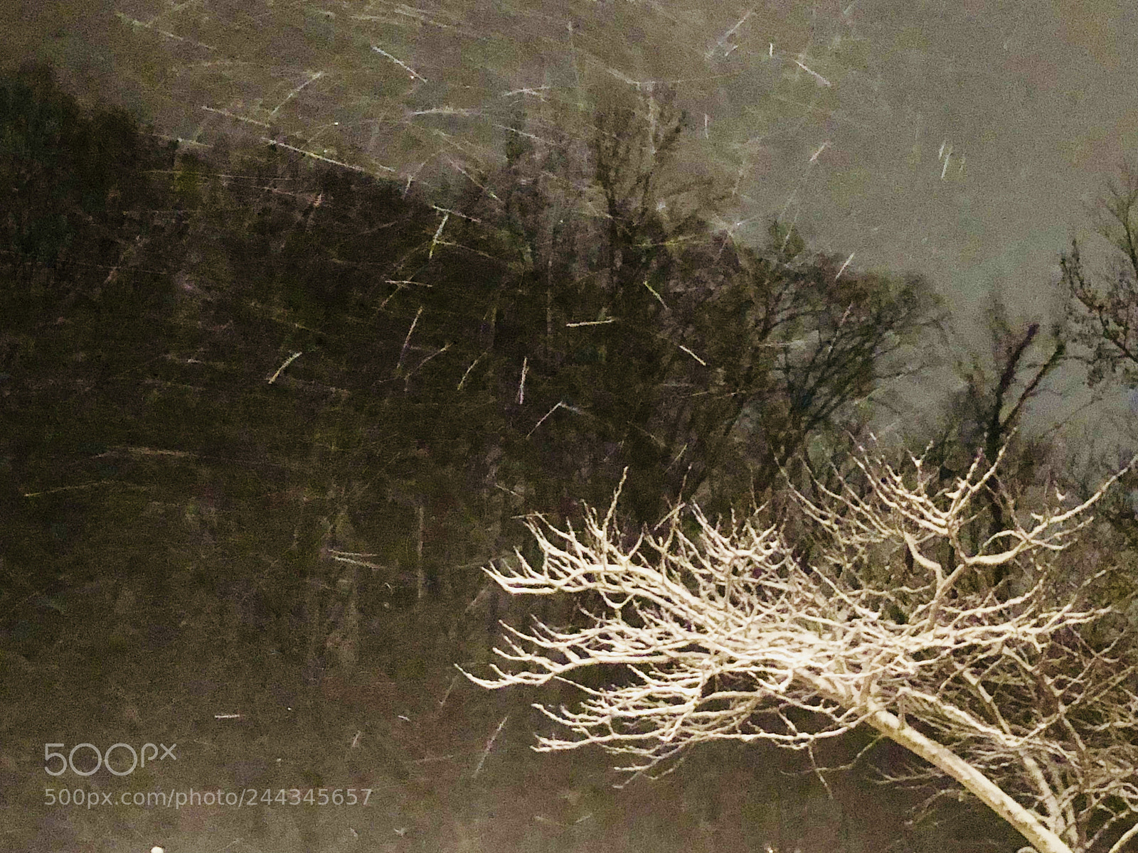 Apple iPhone X sample photo. Cold night photography