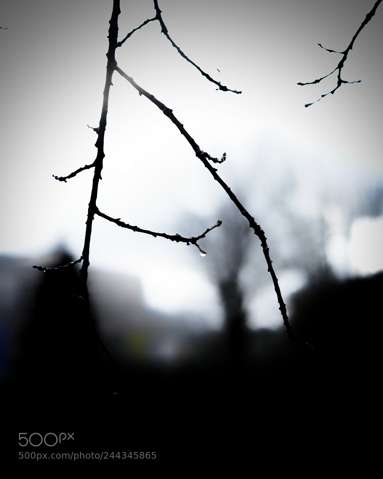 Fujifilm X-T10 sample photo. Untitled photography
