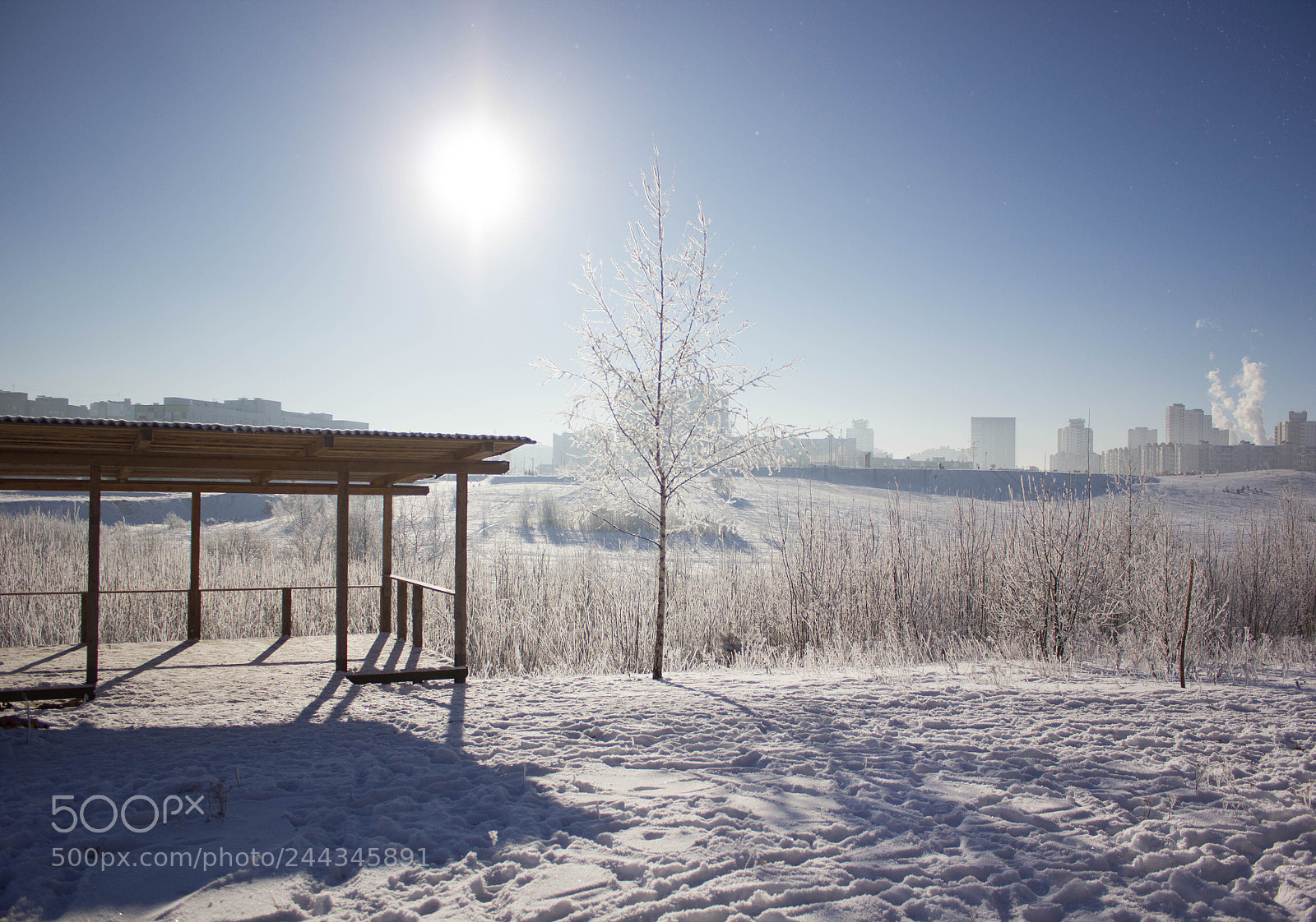Canon EOS 550D (EOS Rebel T2i / EOS Kiss X4) sample photo. Winter day photography
