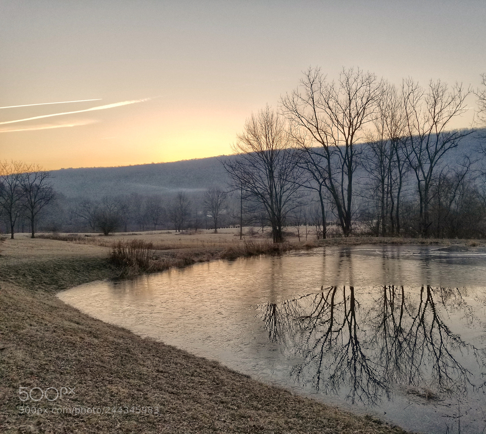 Samsung Galaxy S8 sample photo. Untitled photography