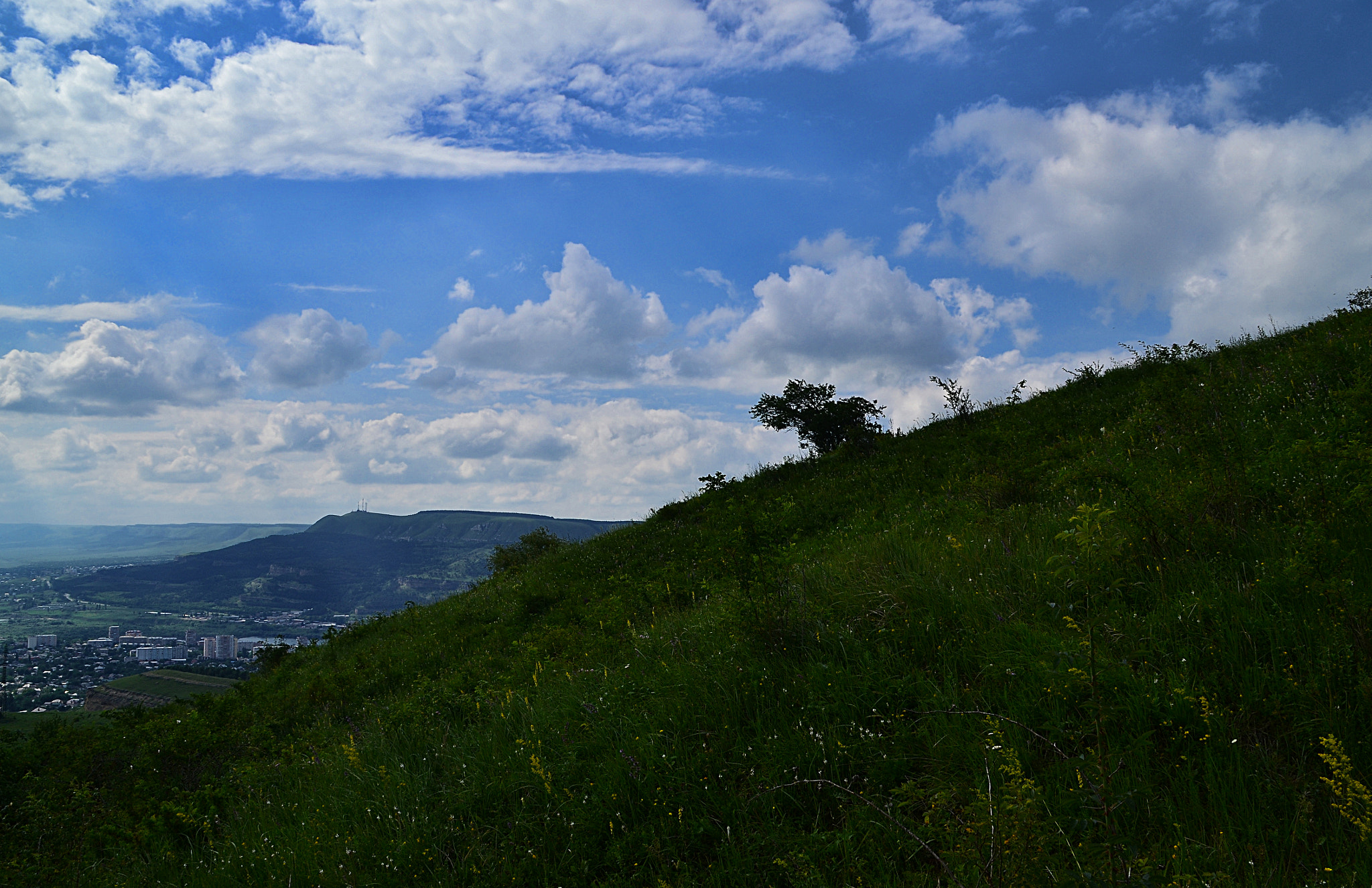 Nikon D3100 sample photo. Hawthorn on the slope photography