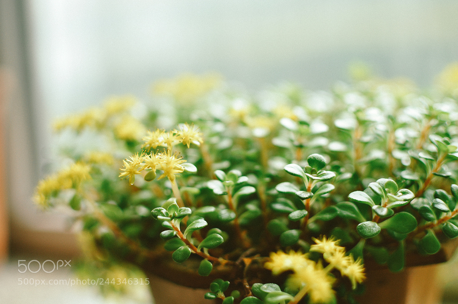 Nikon D90 sample photo. Untitled photography