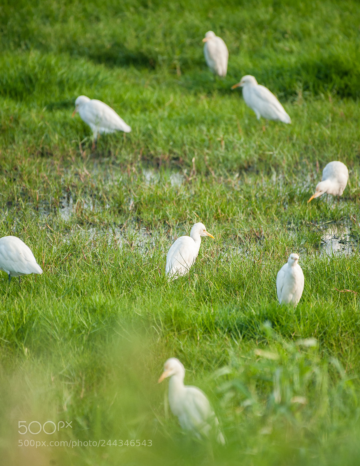 Nikon D700 sample photo. Circle of friends photography