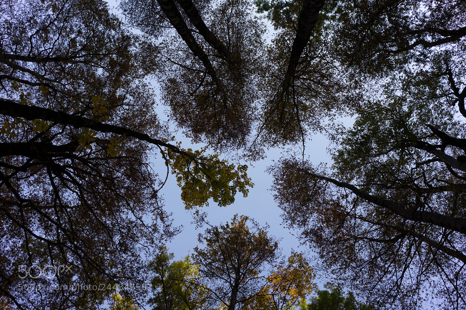 Sony a7 II sample photo. Cielo de ordesa photography