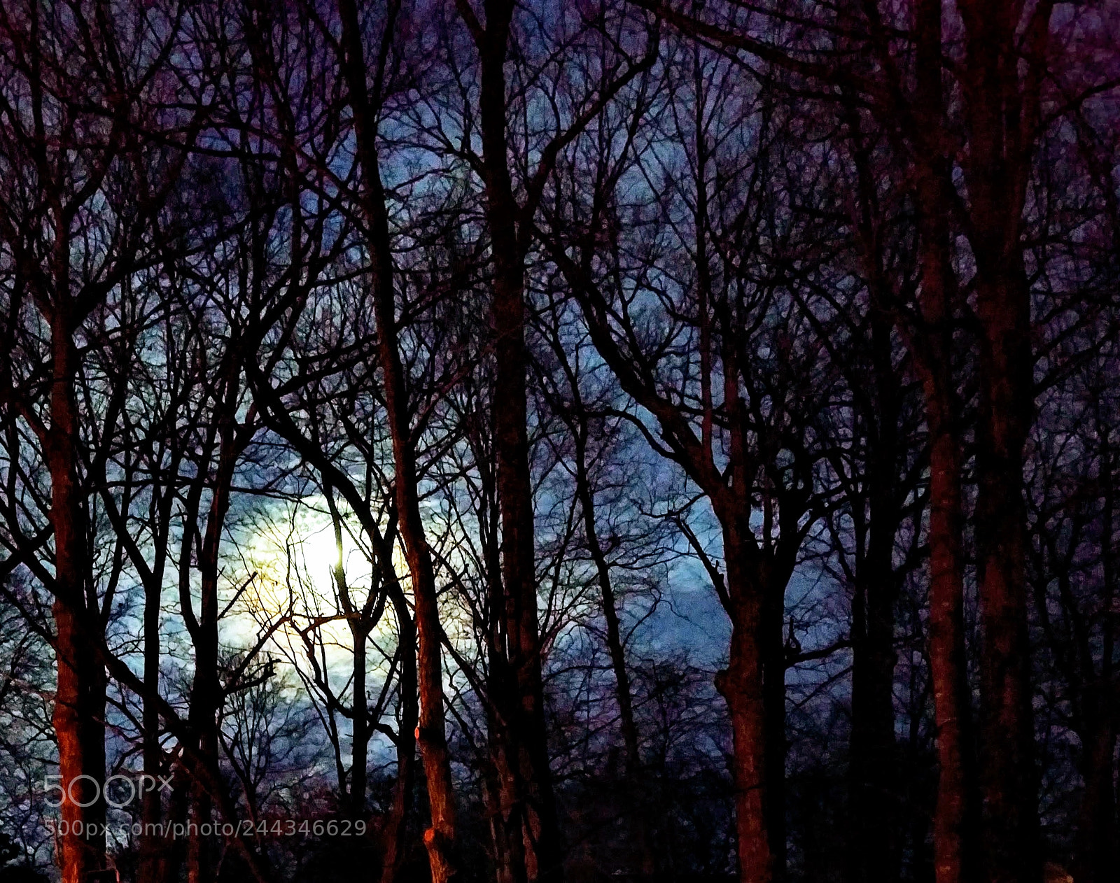 Motorola XT1650 sample photo. Midwinter moon photography