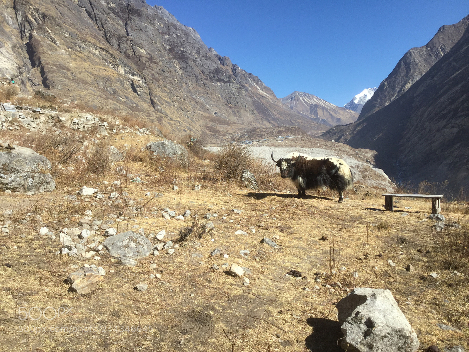 Apple iPod touch sample photo. Vall e de langtang,n photography