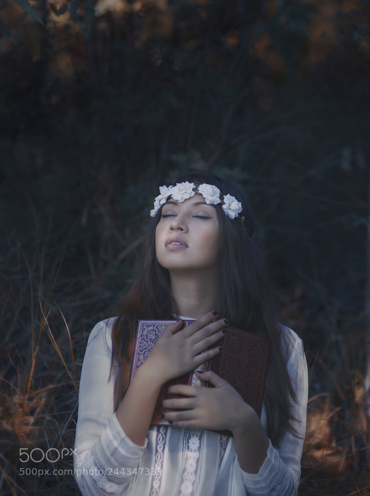 Nikon D610 sample photo. Y* photography