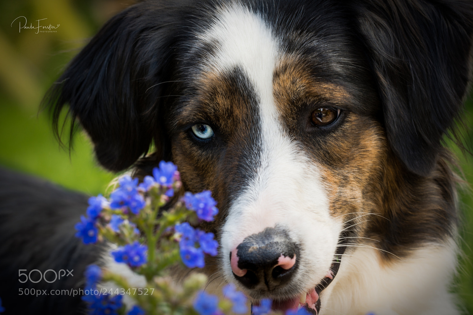 Nikon D7200 sample photo. Curiosity photography
