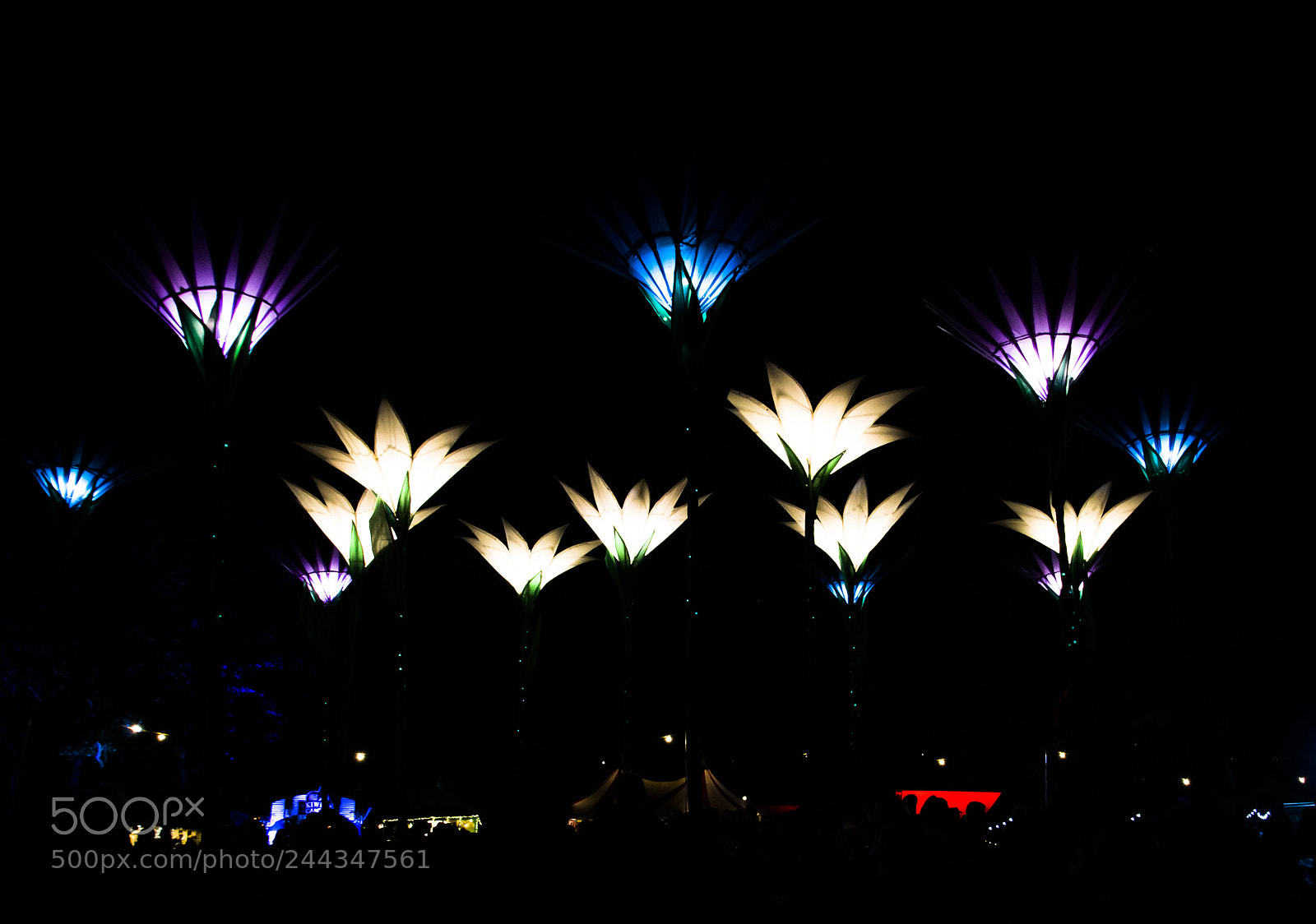 Nikon D7100 sample photo. Festival no.6 photography