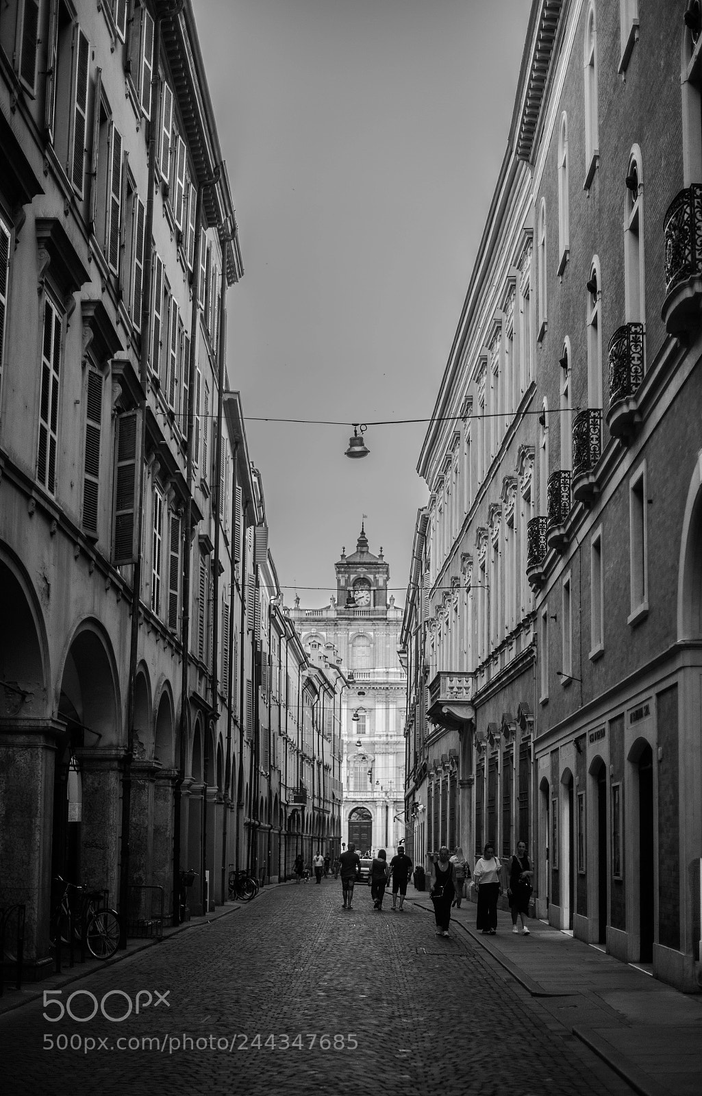 Nikon D610 sample photo. Untitled photography