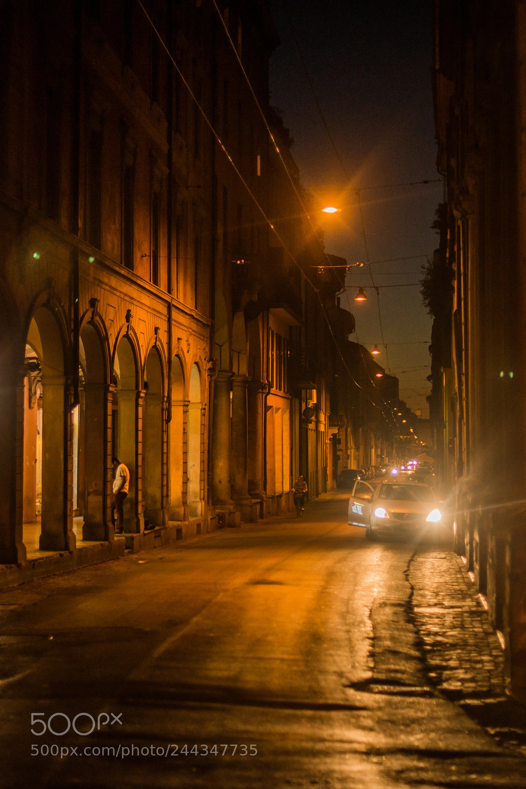 Nikon D610 sample photo. Untitled photography