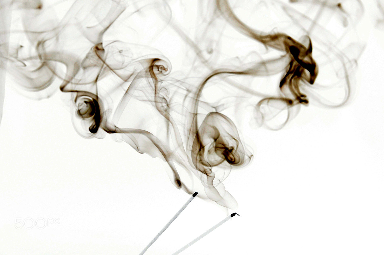 Nikon D90 sample photo. Inverted photography