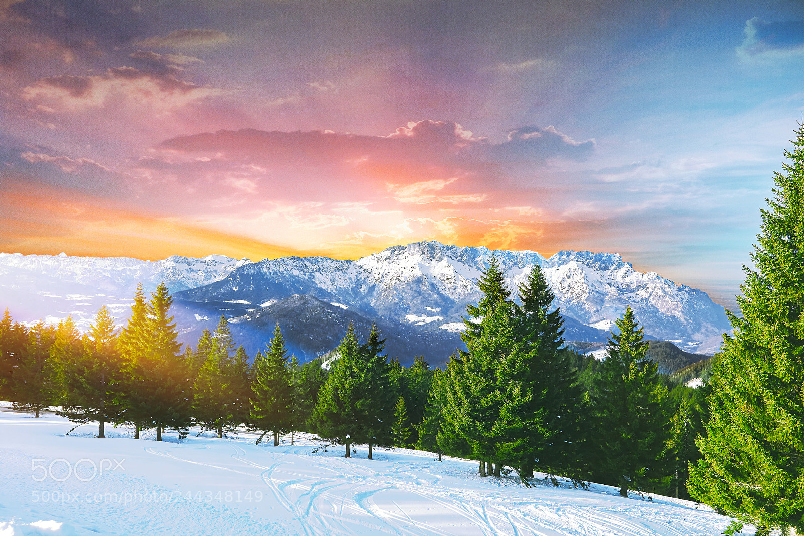 Canon EOS 5DS R sample photo. Magic winter forrest photography