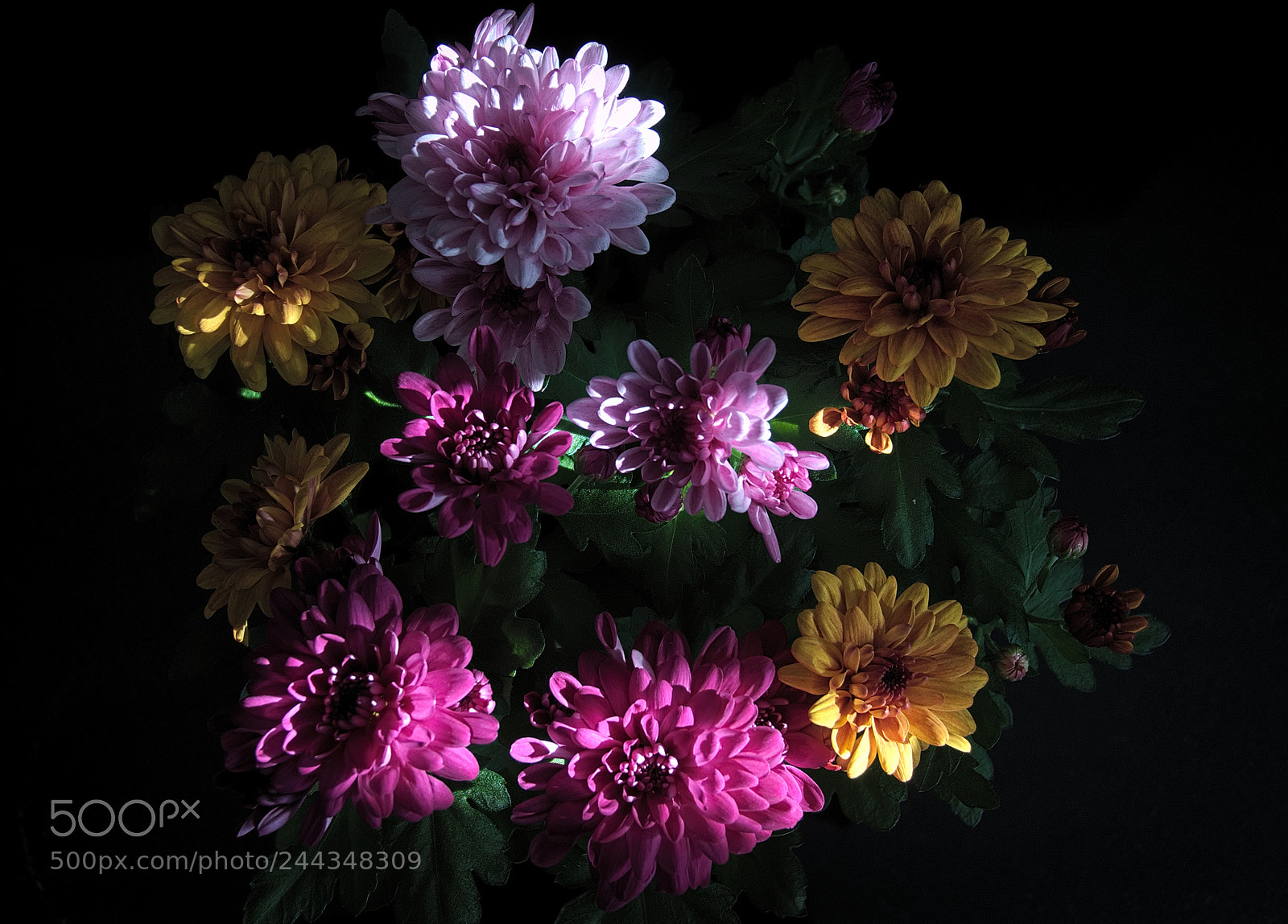 Nikon D300 sample photo. The light on a photography