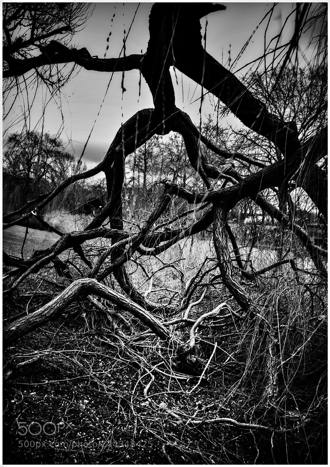 Leica M Monochrom (Typ 246) sample photo. Untitled photography