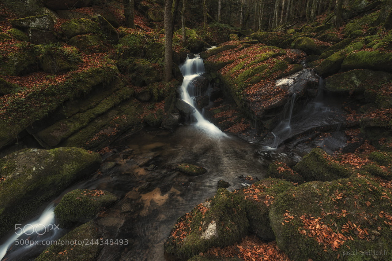 Nikon D800 sample photo. Cascade des darots photography