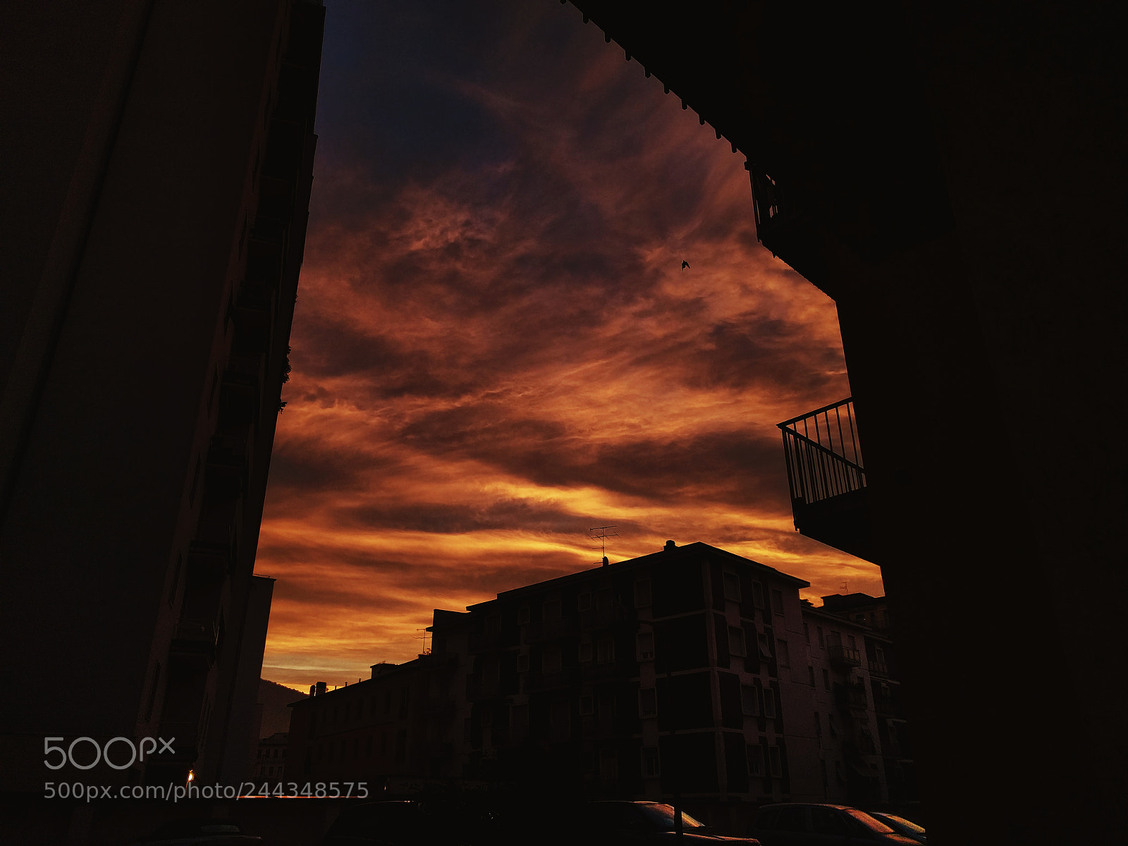 LG Nexus 5X sample photo. Piazzale arnaldo photography