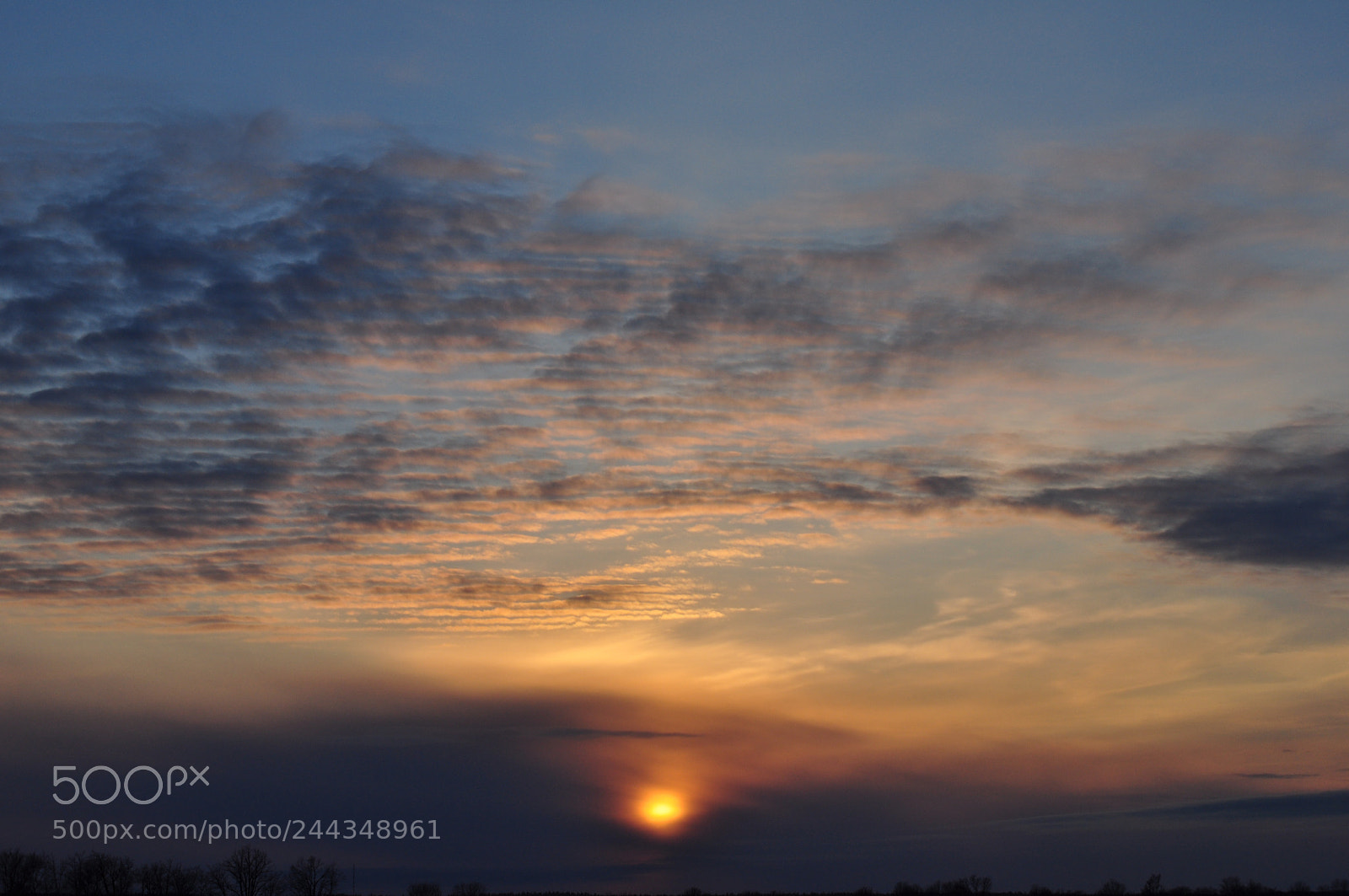 Nikon D5000 sample photo. Fade to evening photography