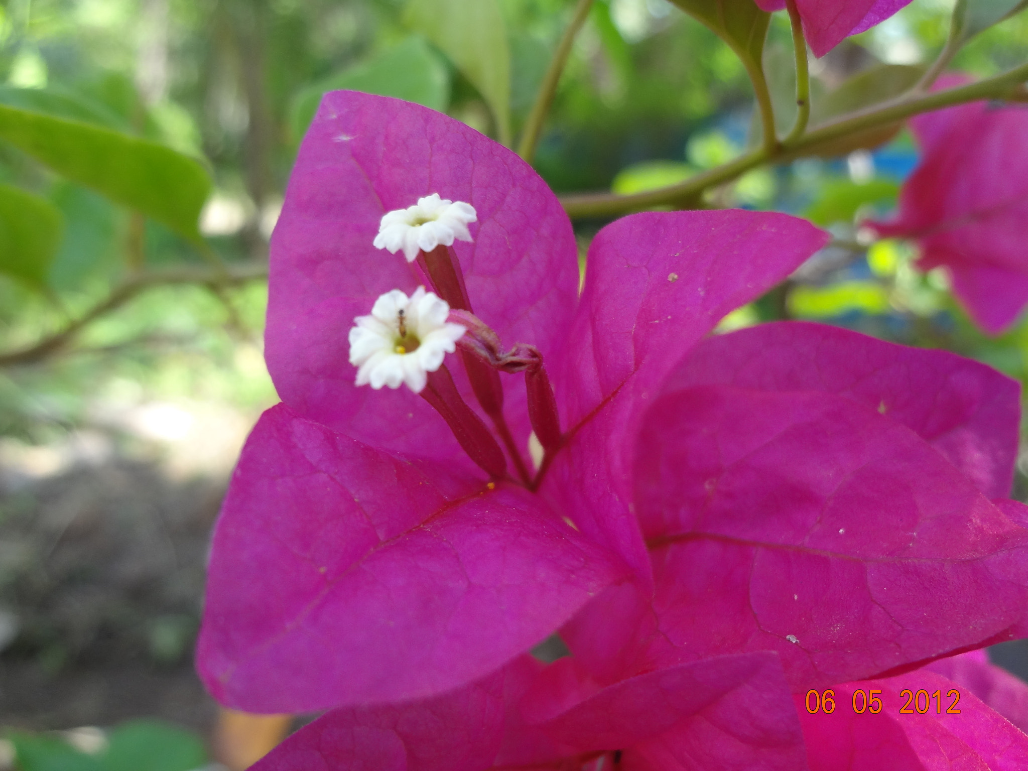 Sony DSC-WX7 sample photo. Dsc photography
