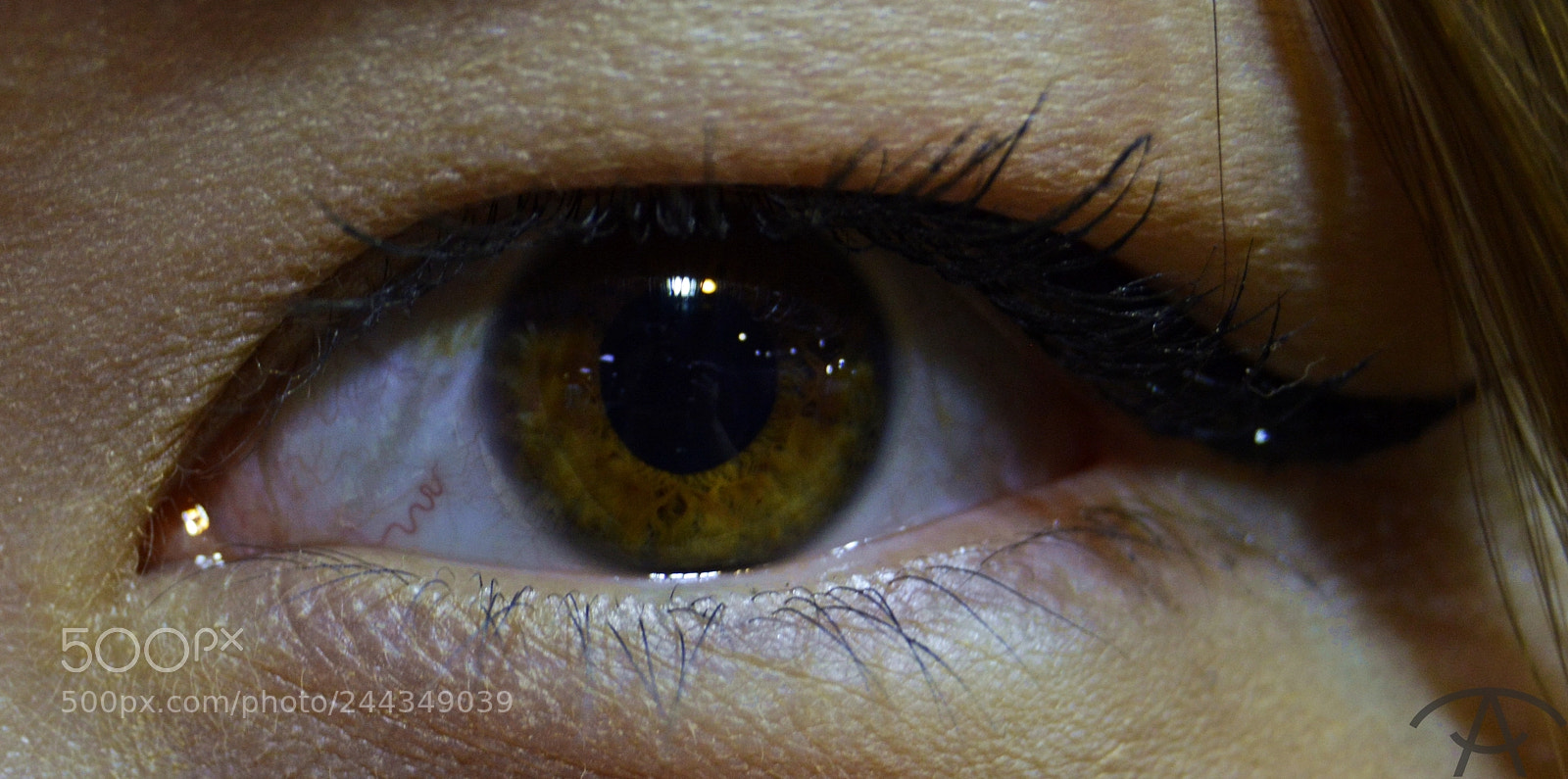 Nikon D3200 sample photo. айана photography