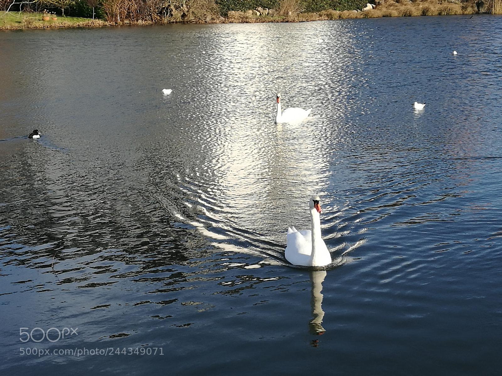 HUAWEI P9 sample photo. Untitled photography