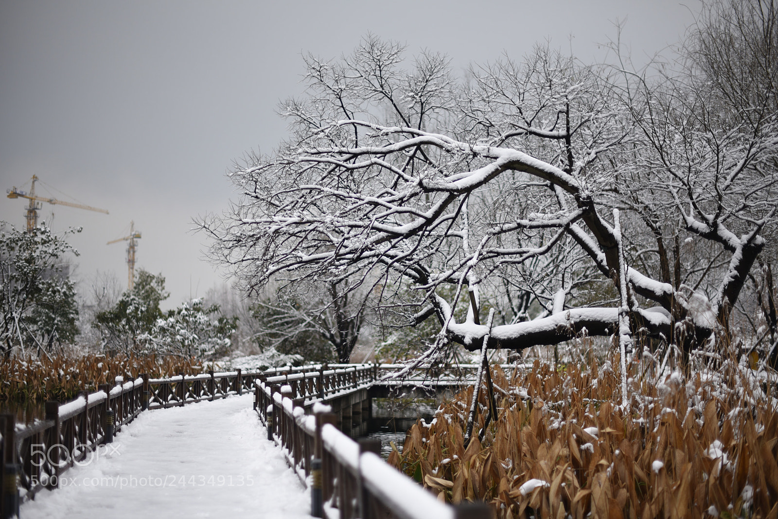 Nikon AF-S Nikkor 50mm F1.4G sample photo. Untitled photography