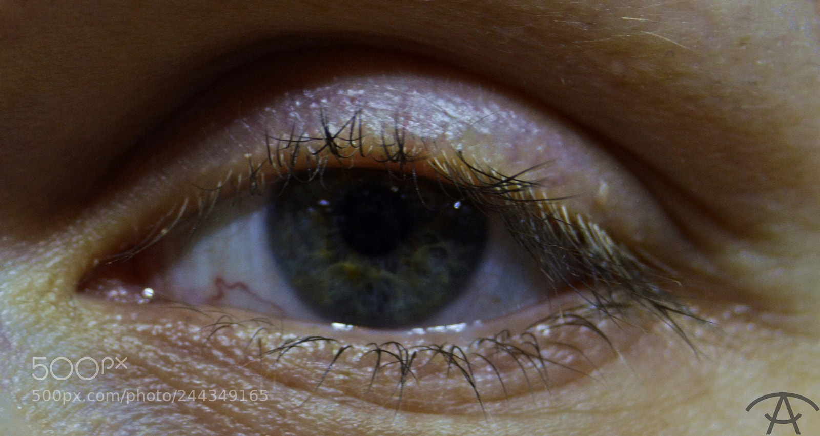 Nikon D3200 sample photo. ирина photography