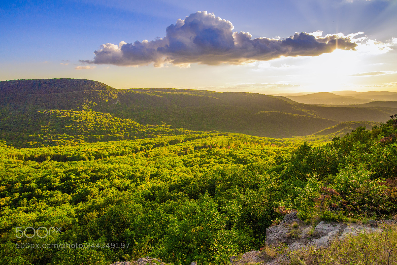 Nikon D610 sample photo. Landscape with clouds photography