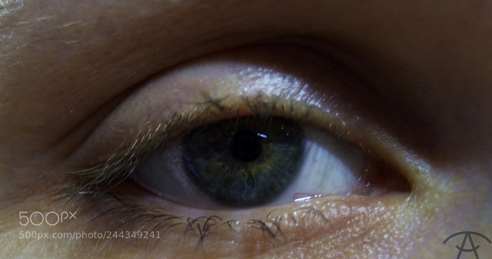 Nikon D3200 sample photo. ирина photography