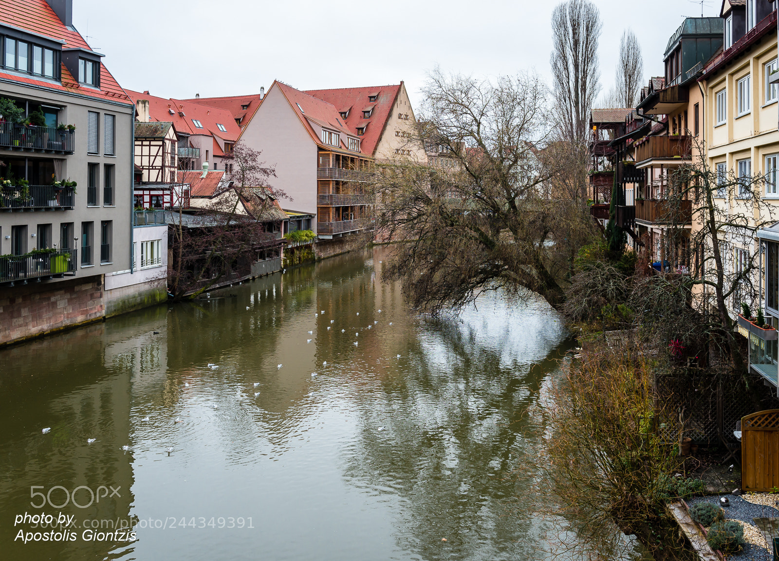 Nikon D800E sample photo. Reflections on river pegnitz photography