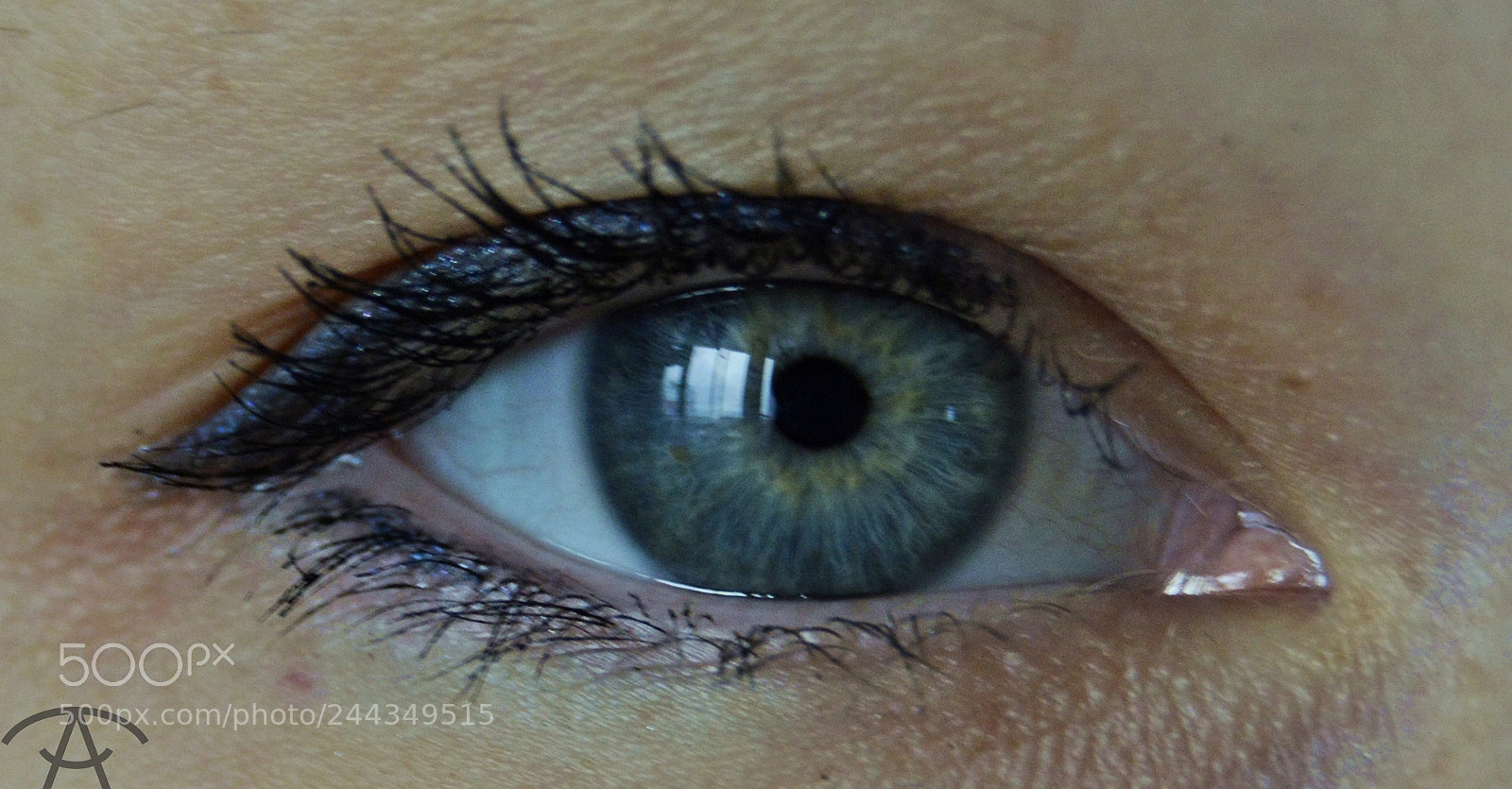 Nikon D3200 sample photo. оксана photography