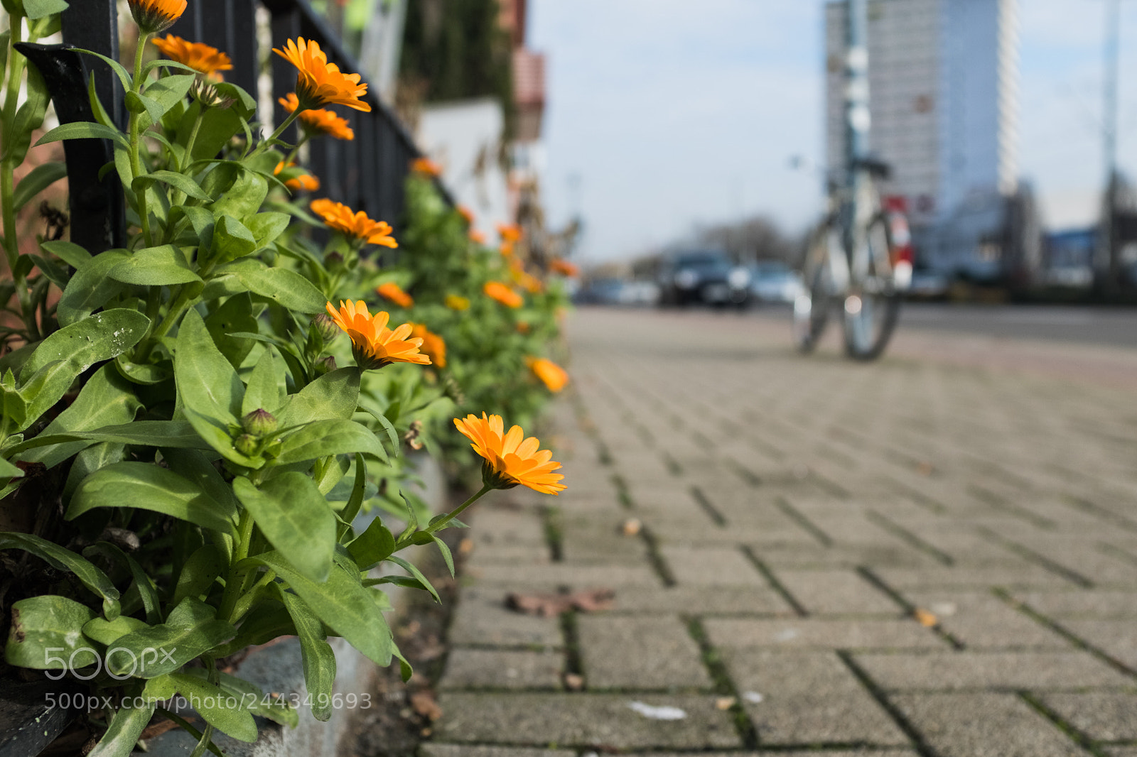 Fujifilm X100F sample photo. Color at street level photography