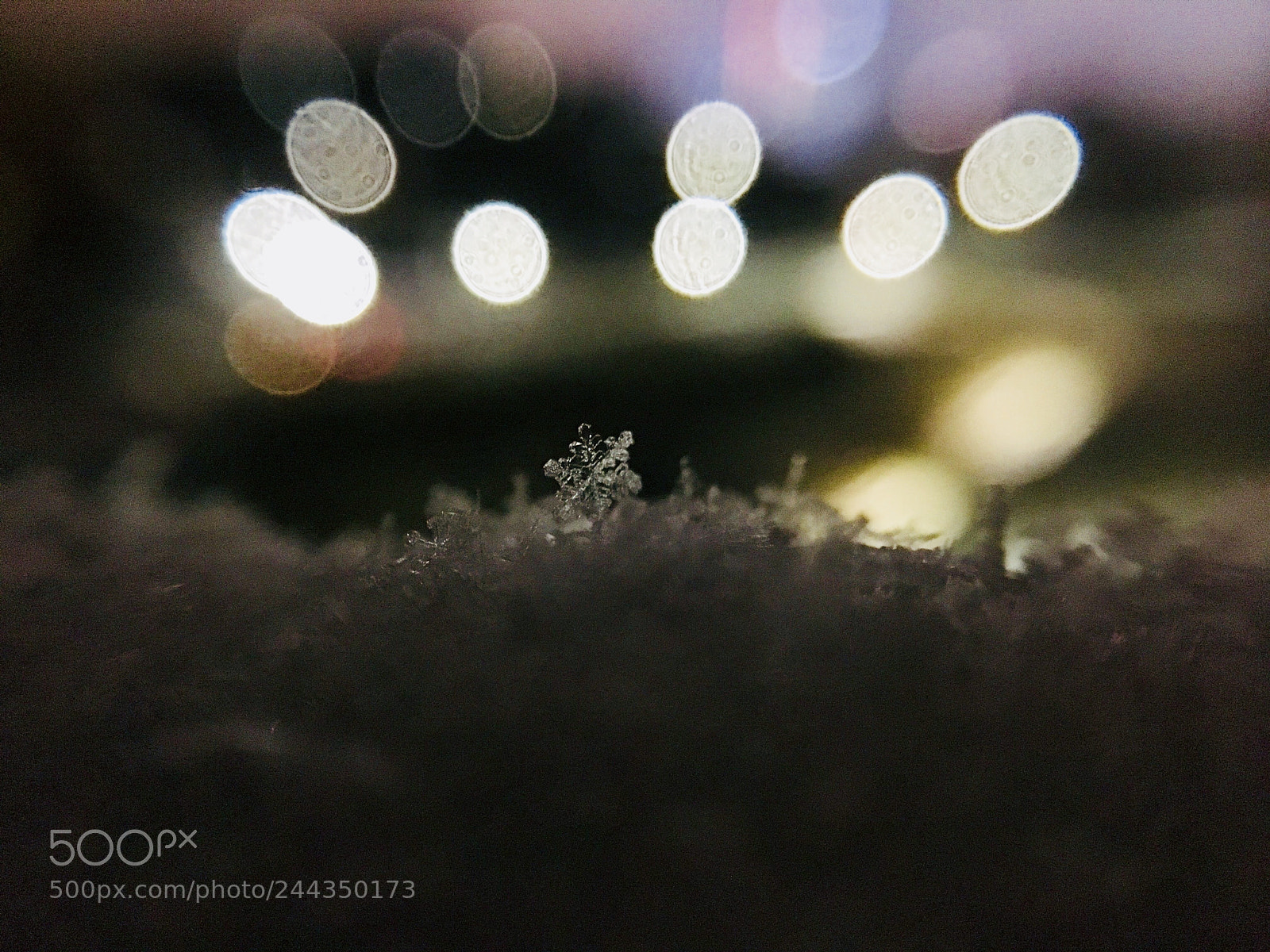 Apple iPhone SE sample photo. The lonely flake photography