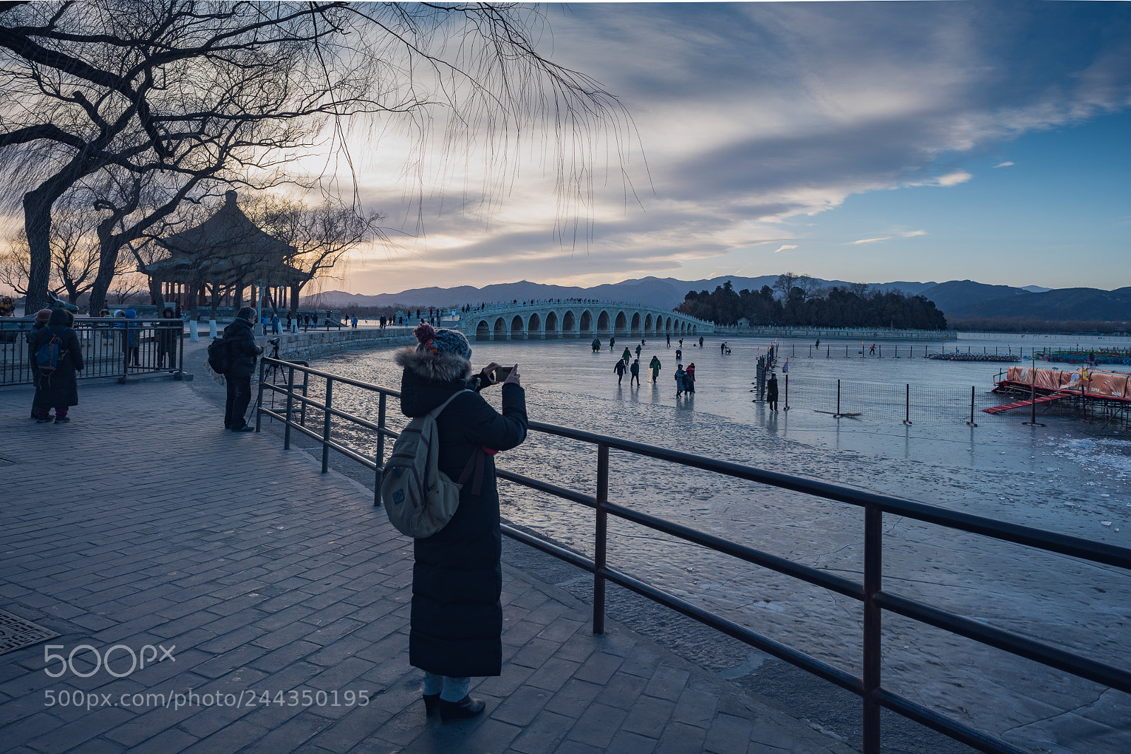 Sony a7R III sample photo. Dsc photography